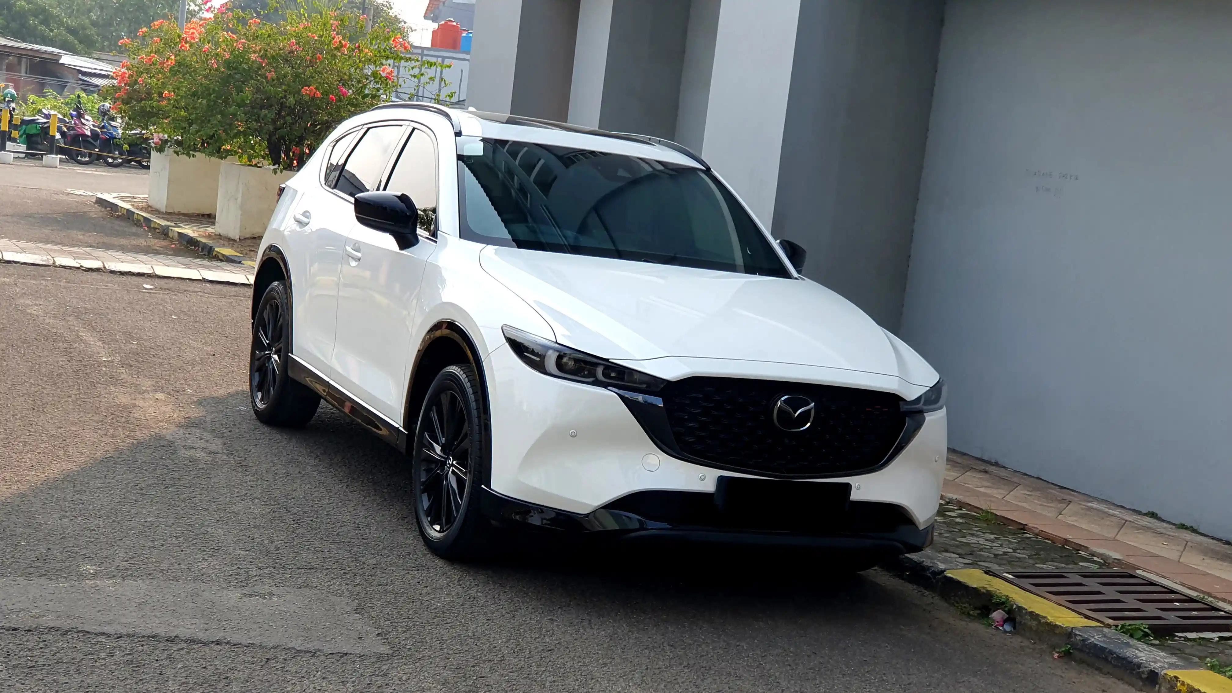 ...